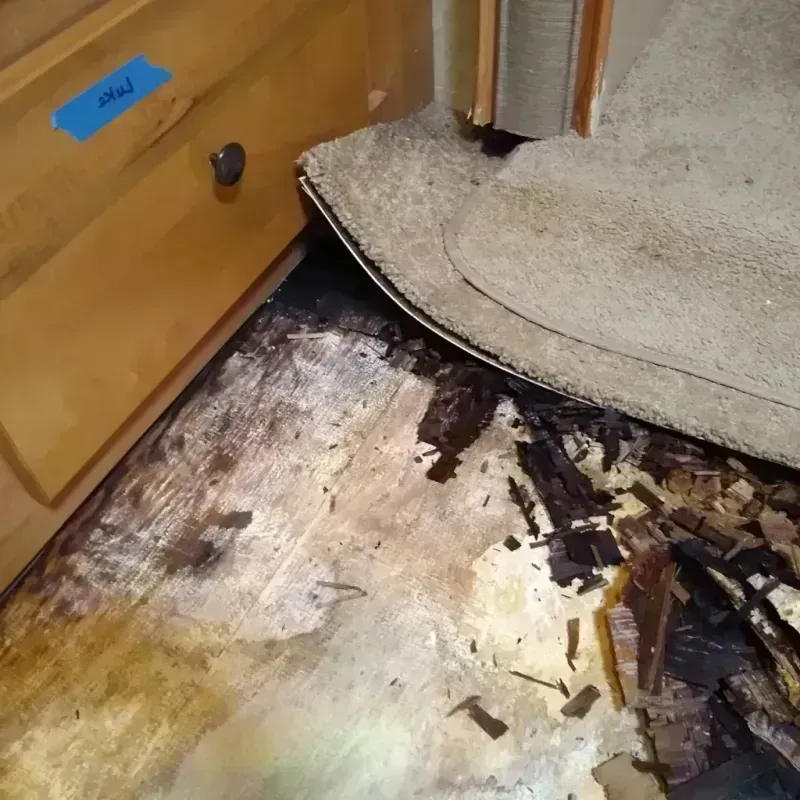 Best Wood Floor Water Damage Service in Swift Trail Junction, AZ